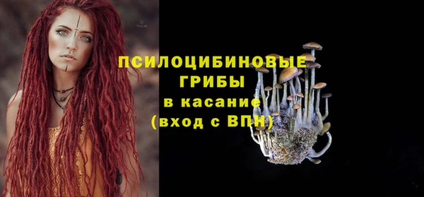 гидра Арсеньев