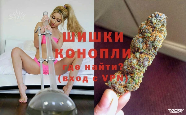 гидра Арсеньев