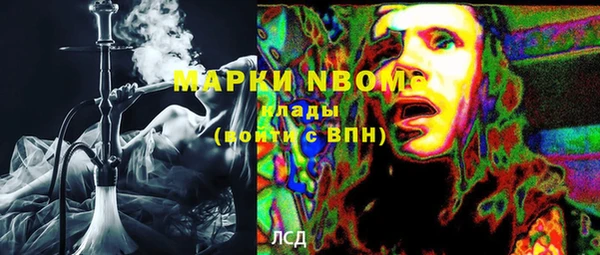 гидра Арсеньев