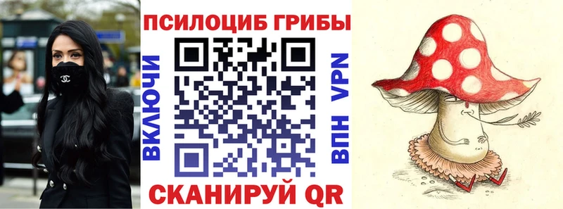 Галлюциногенные грибы Magic Shrooms  Зеленодольск 